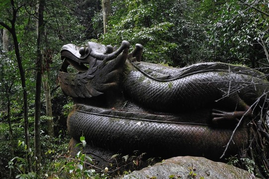 江津四面山石龍