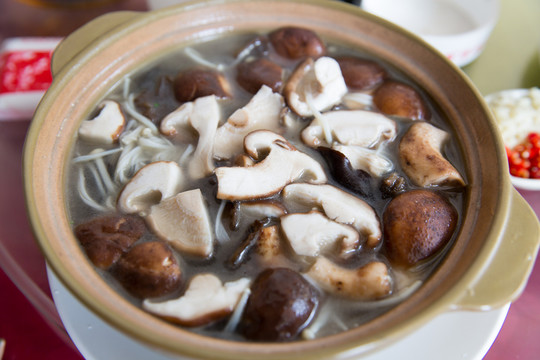 雜菌煲