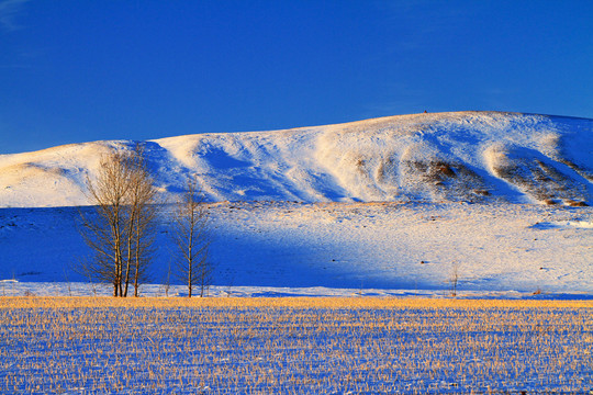 農(nóng)田冰雪風(fēng)景
