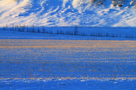 雪原冰雪