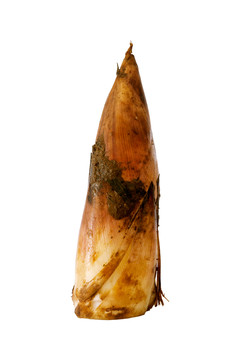 春筍