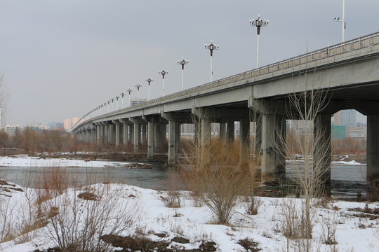 大橋 冬日