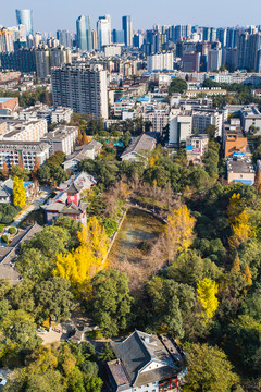 四川大學(xué)秋景