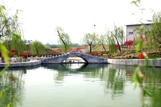 公園小橋 公園風(fēng)景