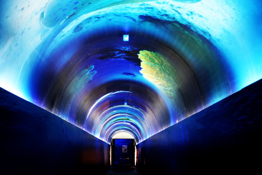 海洋館 建筑 道路 海底世界