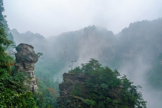 武陵源云霧風(fēng)景