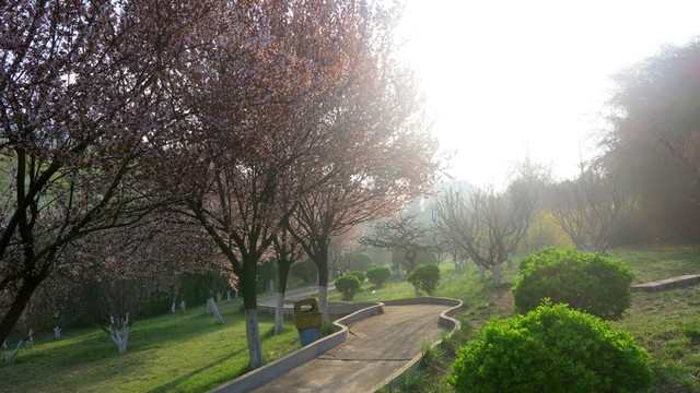 公園晨景 公園風(fēng)景