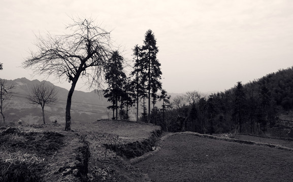 山村