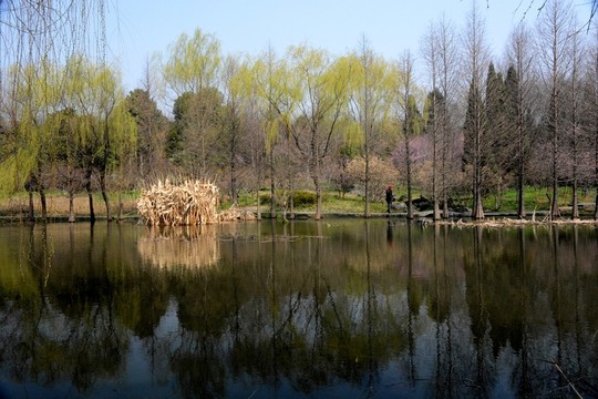 南京鐘山風景名勝區(qū)