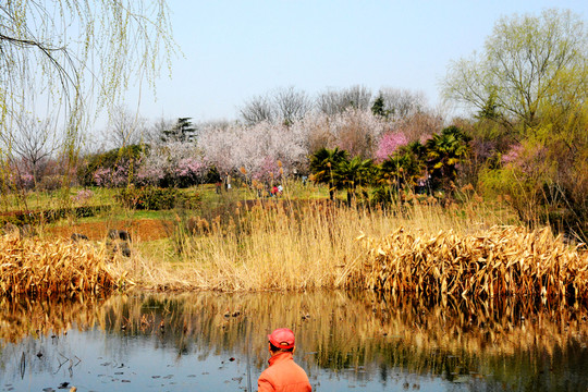 南京鐘山風(fēng)景名勝區(qū)