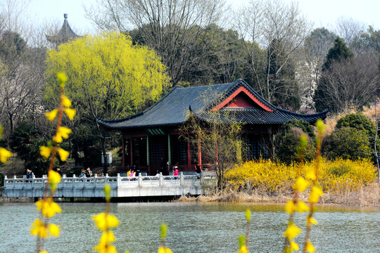 鐘山風(fēng)景區(qū) 鐘山風(fēng)景名勝區(qū)
