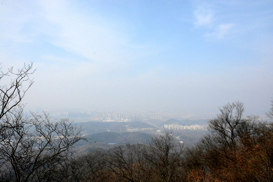 紫金山鳥瞰