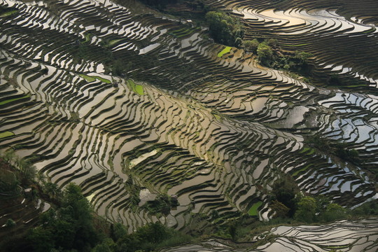 梯田