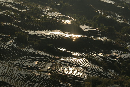 梯田