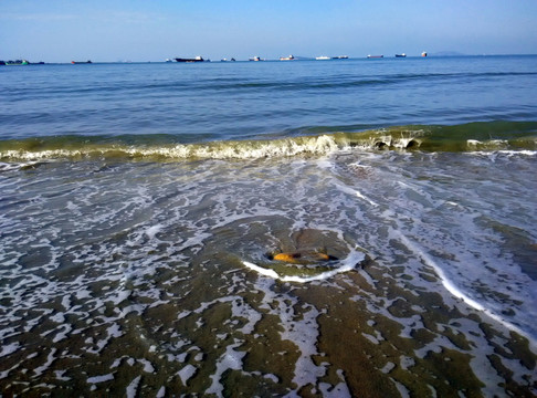 沙灘大石