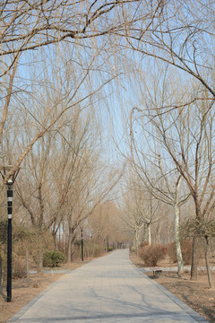 冬天的公園