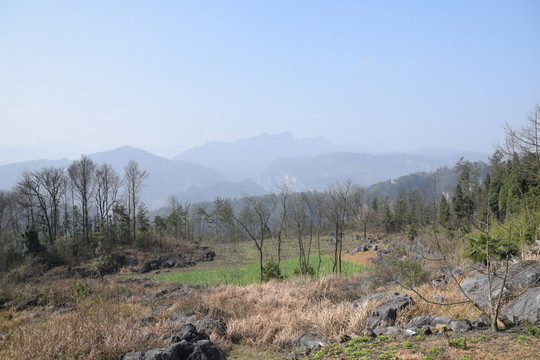 長陽 布旗山 大山