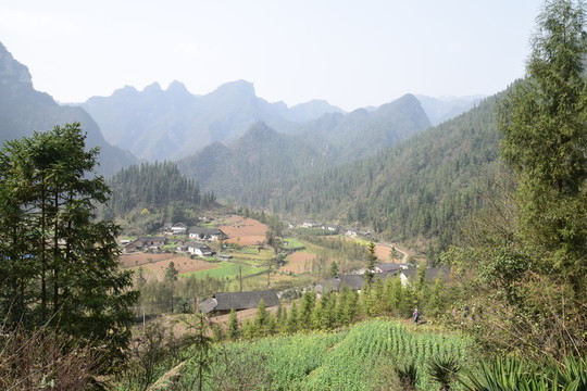 長陽 布旗山 大山