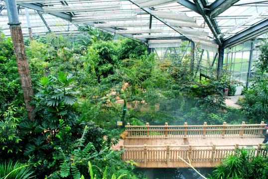 植物園玻璃房 溫室