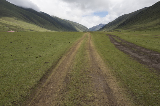草原上的道路