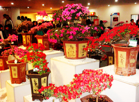 花卉