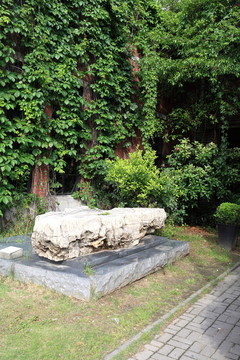 旅店綠植