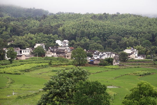 鄉(xiāng)村風景