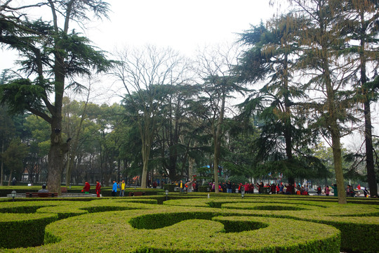公園晨練
