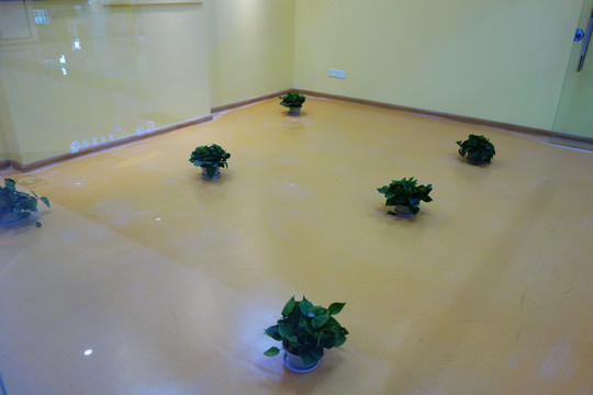 室內(nèi)除甲醛
