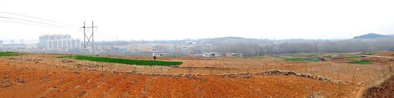 田地大圖  田野全景圖 春