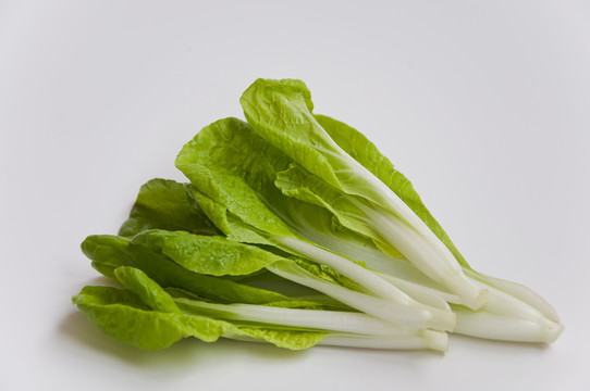 奶白菜