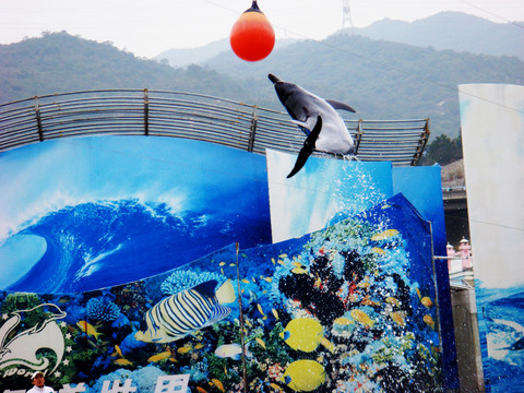 深圳海洋世界