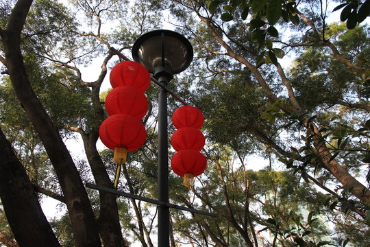 喜慶燈籠