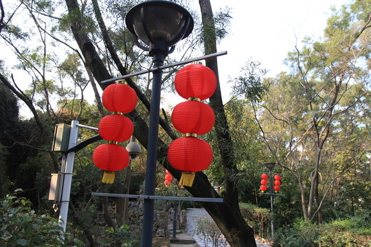 紅燈籠