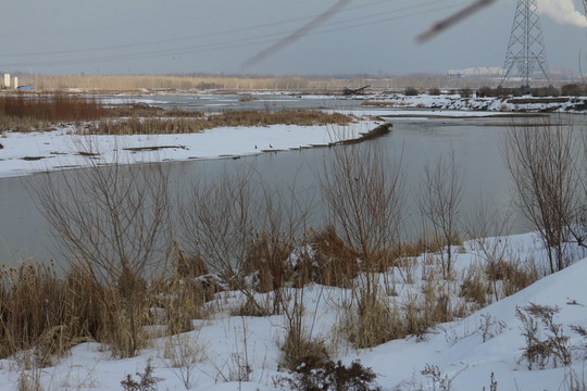 雪岸 冰河
