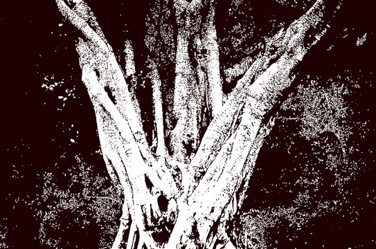 黑白藝術(shù)