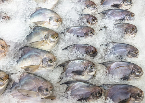 超市冷柜里的平魚(yú)