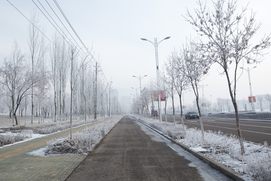 街頭小景