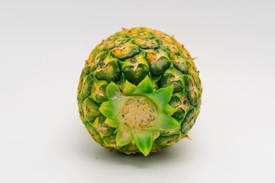 波蘿素材