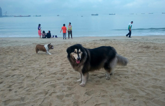 海邊