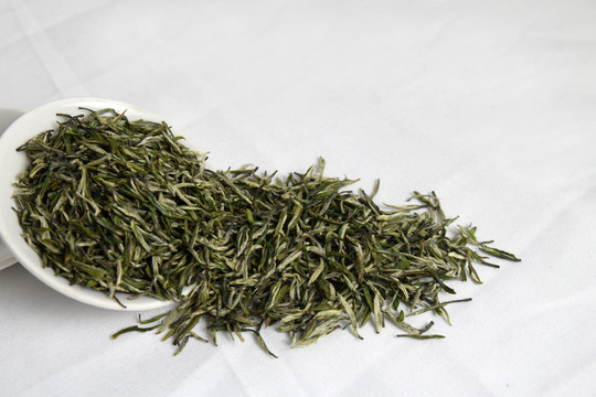 綠茶 毛尖 芽尖 新茶 春茶