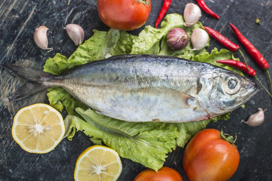 魚