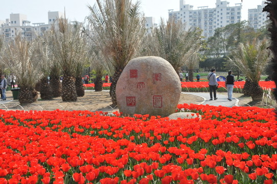 郁金香花博會
