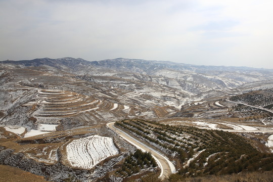 梯田