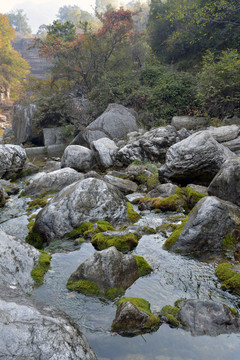 山澗