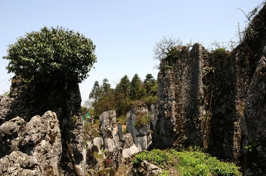 華鎣山石林
