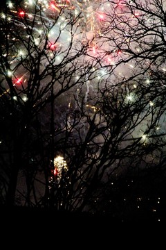 煙花照亮的夜空