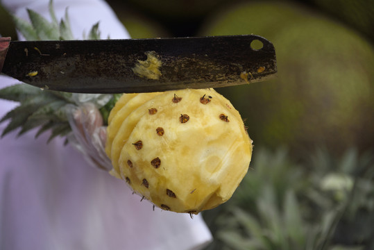 菠蘿