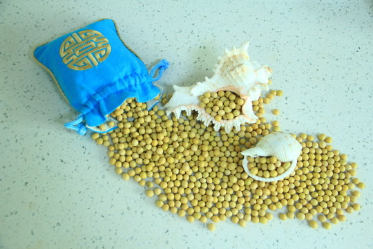 黃豆