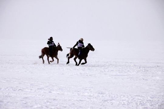 冬季雪地賽馬